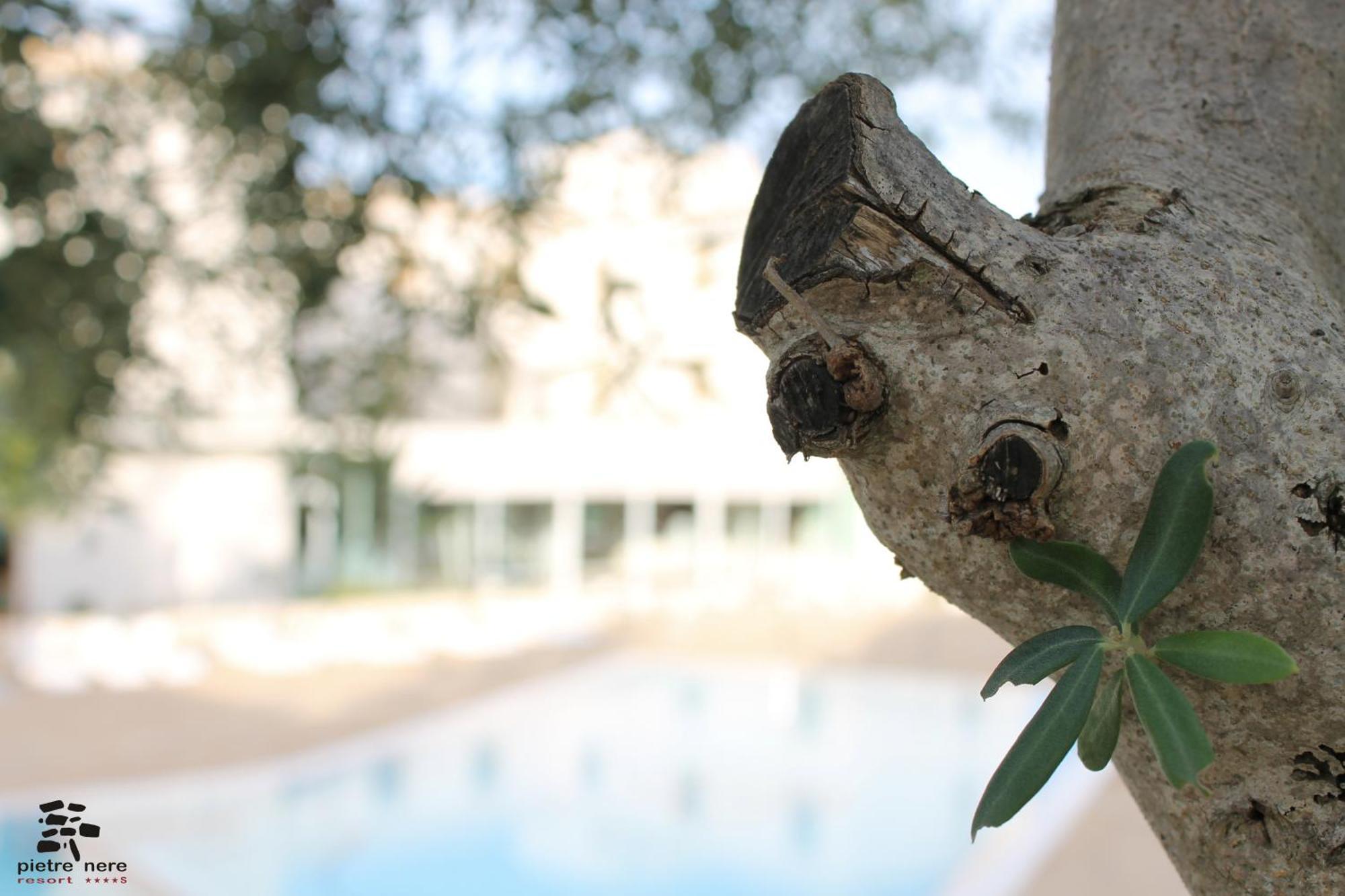 Pietre Nere Resort & Spa โมดิกา ภายนอก รูปภาพ